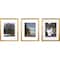 6 Packs: 3 ct. (18 total) Gallery™ Gold Frame with Mat by Studio Décor®